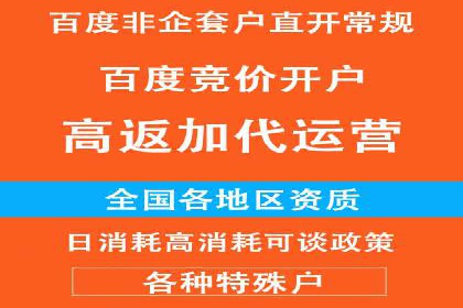 百度推广助力企业拓展海外市场案例